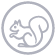 ícono acceso